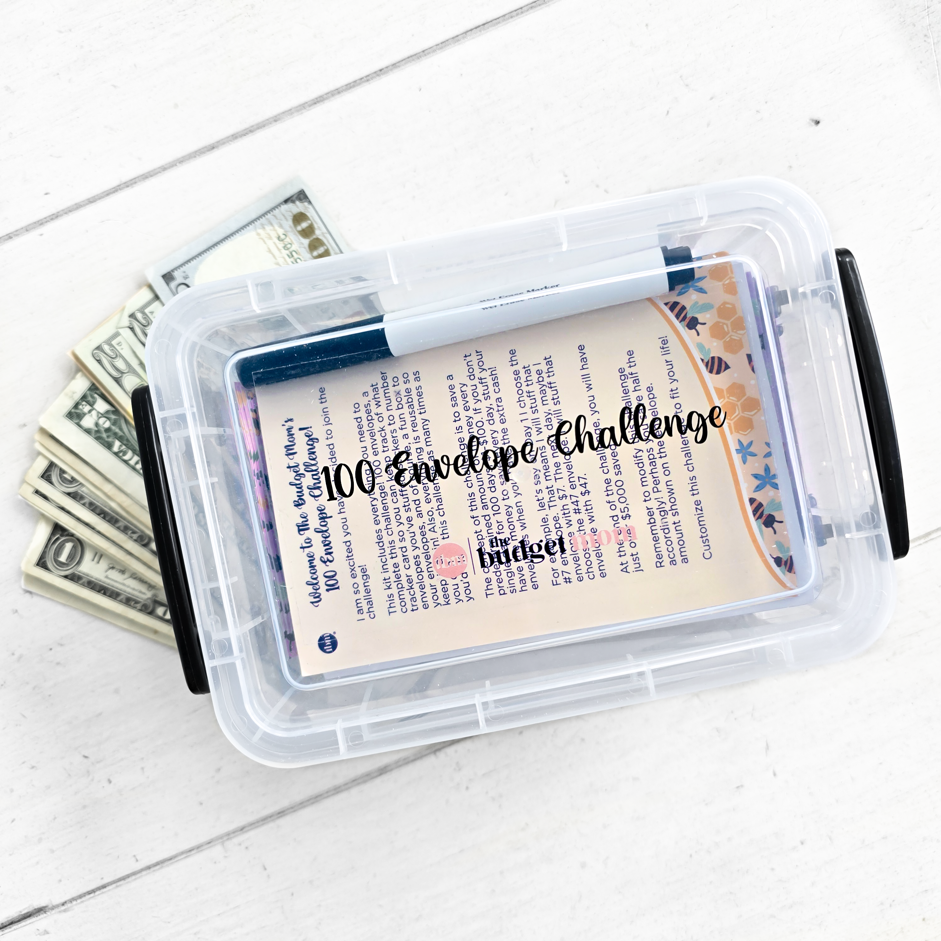 Savaro™ 100 Savings Challenge Kit